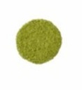 Matcha Culinario 100 gr 