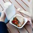 Bandeja 6x6  Bagazo de Caña