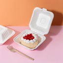 Bandeja 6x6  Bagazo de Caña