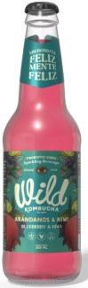 Wild Kombucha Arandanos y Kiwi