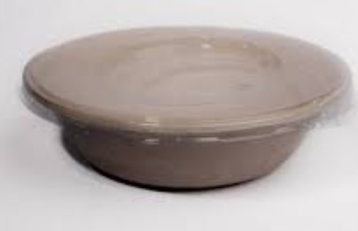 Sugarcane Bagasse Bowl 32 oz
