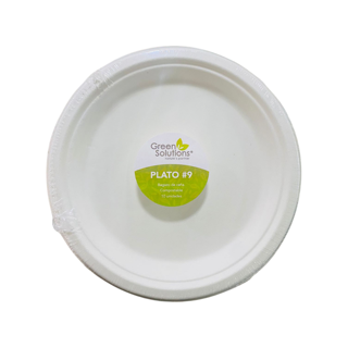Sugarcane Bagasse Plate #9
