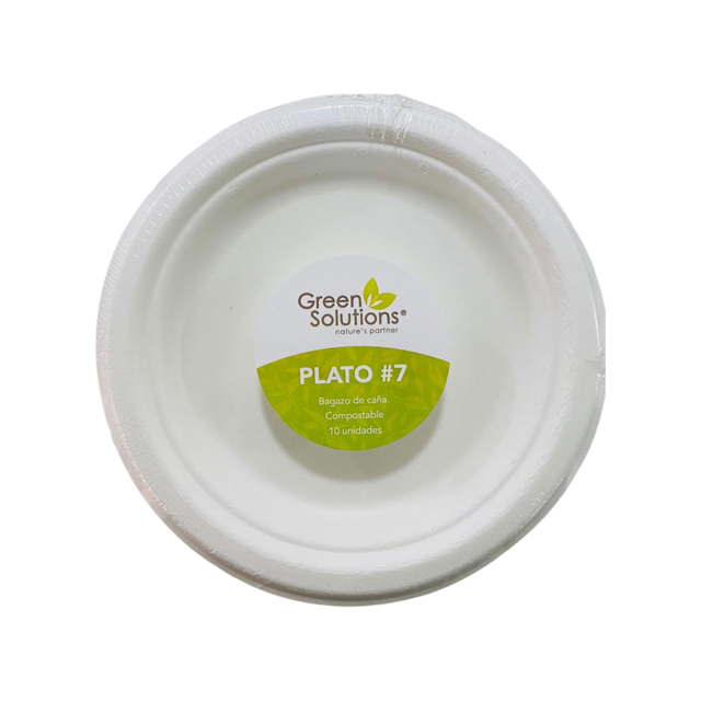Sugarcane Bagasse Plate 7