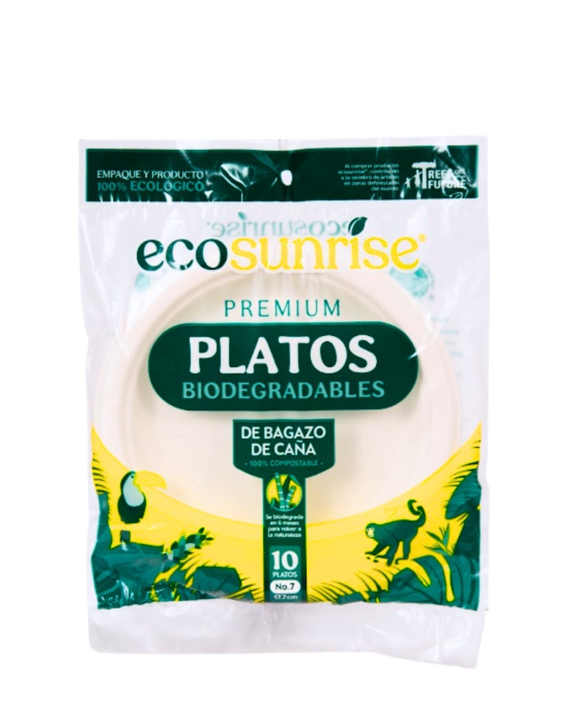 Bagasse Plate #7 (10 units)