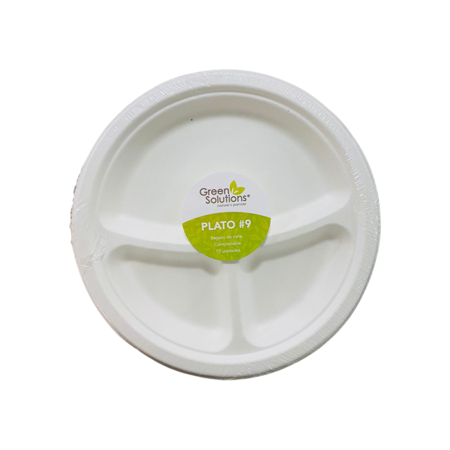 Sugarcane Bagasse Plate 9 with Divider