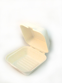 9x9 Bagasse Clamshell