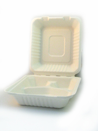 Sugarcane Bagasse Tray 9X9 w/Divider