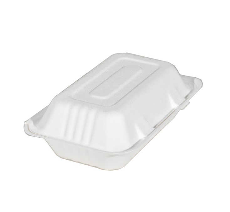 **Plain Sugarcane Bagasse Tray 9x6