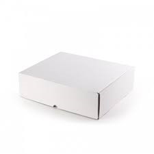 [BT90700] Gorra para Baño (Caja 250 uds)