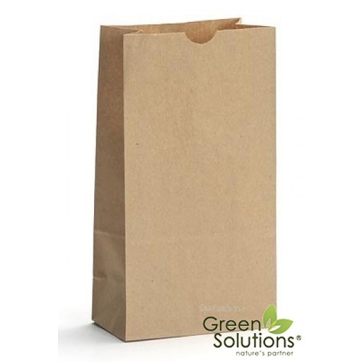 [BK000520] Bolsa Kraft 20 Lbs 