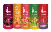 [LV020000] Mixed Hemp Sparkling Beverage