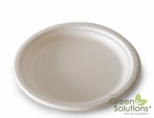 Sugarcane Bagasse Plate #6